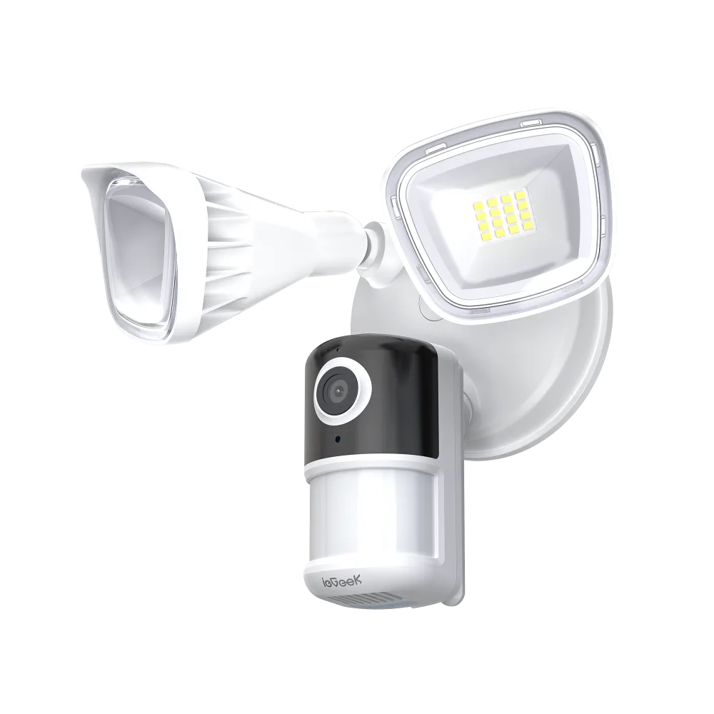Wall mounted fixture with two adjustable floodlight heads and a small black and white camera module below them