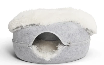 Best Enclosed Cat Beds: Cat Caves, Donut Beds and Which Suits Your Cat