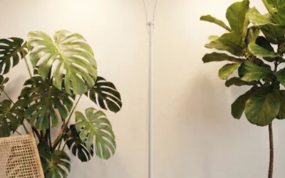 Best Indoor Plant Grow Lights on Glowrium: What the Wattage Does Not Tell You